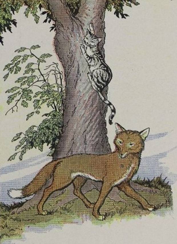 Aesop's Fables - The Cat And The Fox By Milo Winter