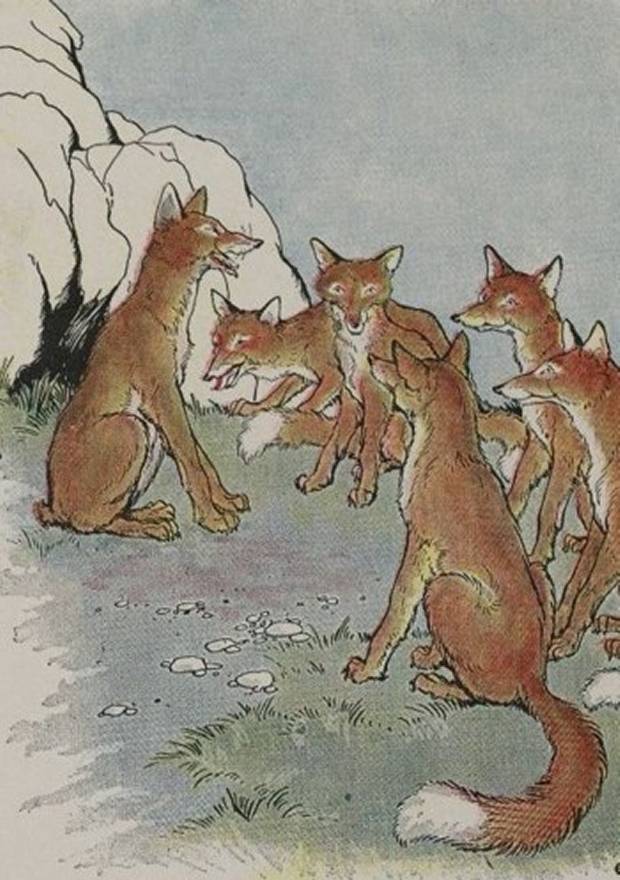 Aesop's Fables - The Fox Without A Tail By Milo Winter