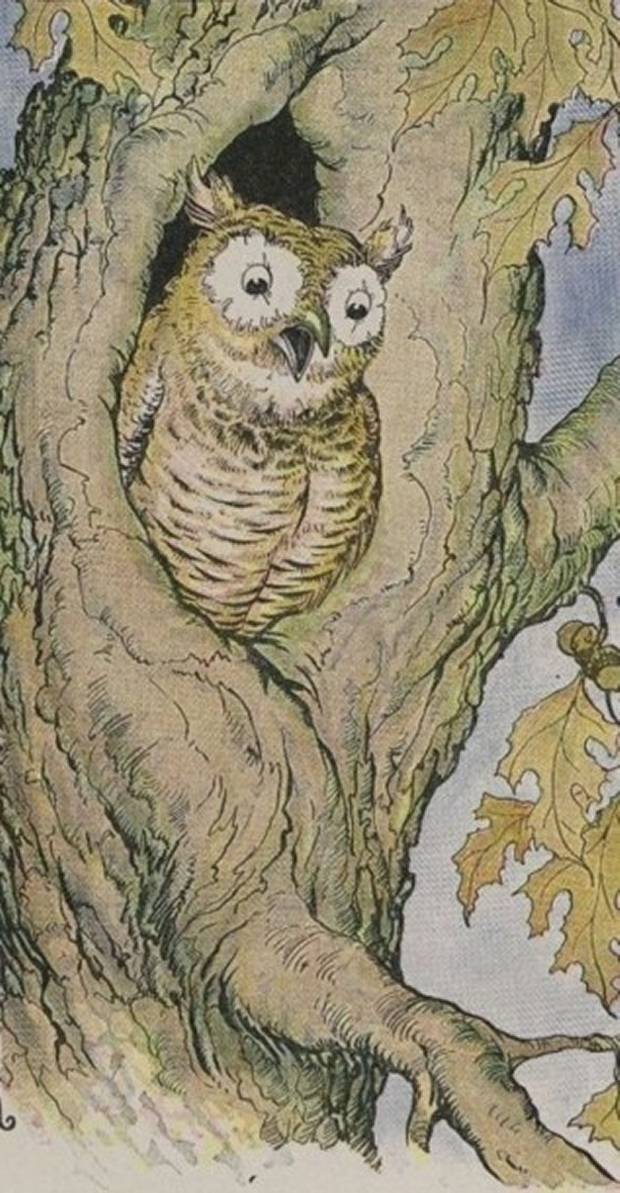 Aesop's Fables - The Owl From The Owl And The Grasshopper By Milo Winter