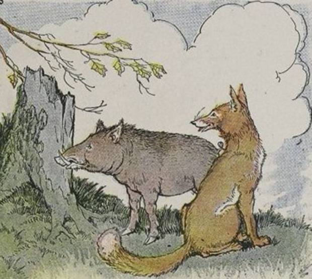 Aesop's Fables - The Wild Boar And The Fox By Milo Winter