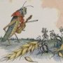 Thumbnail For The Ants And The Grasshopper An Aesop Fable