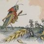 Thumbnail For The Ants And The Grasshopper An Aesop Fable