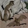 Thumbnail For The Bat And The Weasels