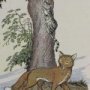 Thumbnail For The Cat And The Fox