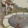Thumbnail For The Fox And The Goat An Aesop Fable