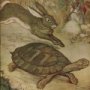 Thumbnail For The Hare And The Tortoise An Aesop Fable