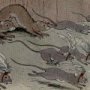 Thumbnail For The Mice And The Weasals An Aesop Fable