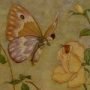 Thumbnail For The Rose And The Butterfly