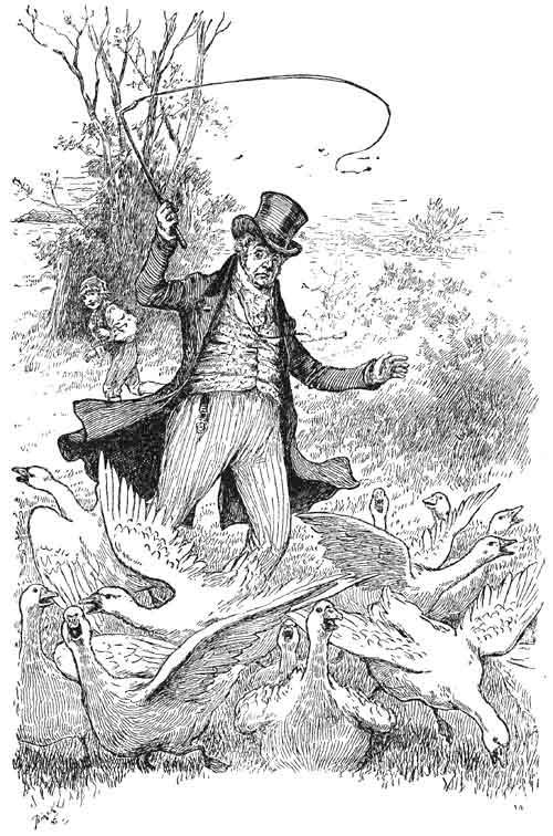 Maximilian And The Goose Boy - A Famous Legend