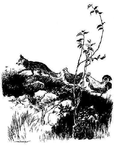 English Fairy Tale - Illustration For Henny-Penny By Arthur Rackham