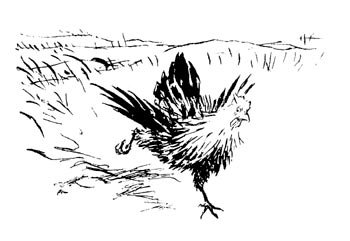 English Fairy Tale - Illustration For Henny-Penny By Arthur Rackham