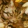 Thumbnail For Dick Whittington And His Cat