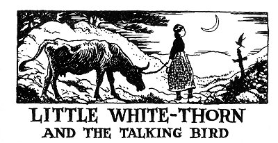 Folk Tale From Britanny - Title For Little White-Thorn And The Talking Bird