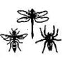 Thumbnail For The Wasp, The Winged Needle And The Spider