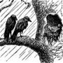 Thumbnail For The Selfish Sparrow And The Houseless Crows