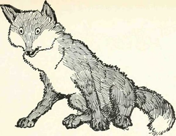 Russian Folk Tale - Illustration For The Dog And The Cock