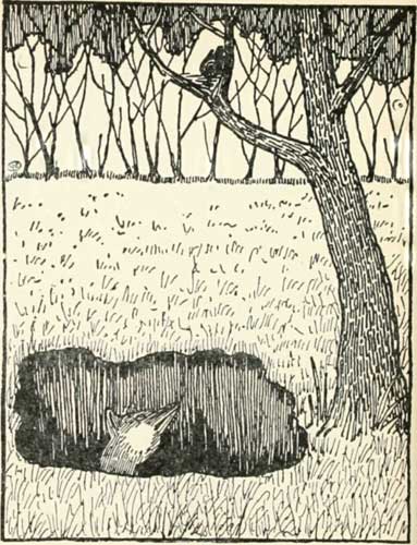 Russian Folk Tale - Illustration For The Fox And The Blackbird