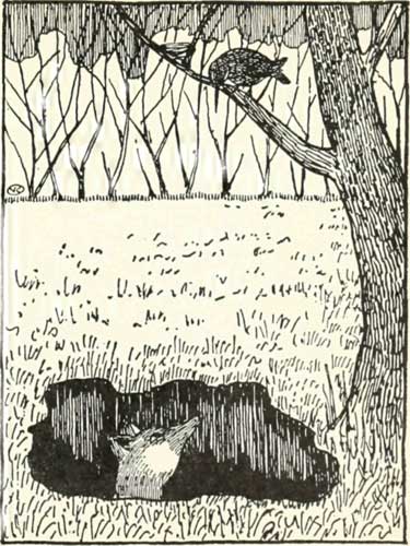 Russian Folk Tale - Illustration For The Fox And The Blackbird