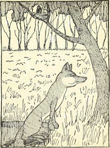 Russian Folk Tale - Illustration For The Fox And The Blackbird