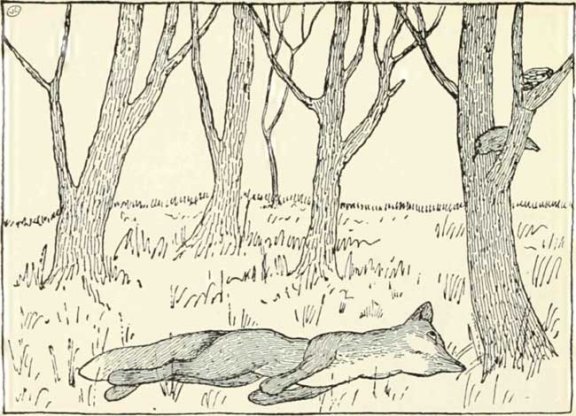 Russian Folk Tale - Illustration For The Fox And The Blackbird